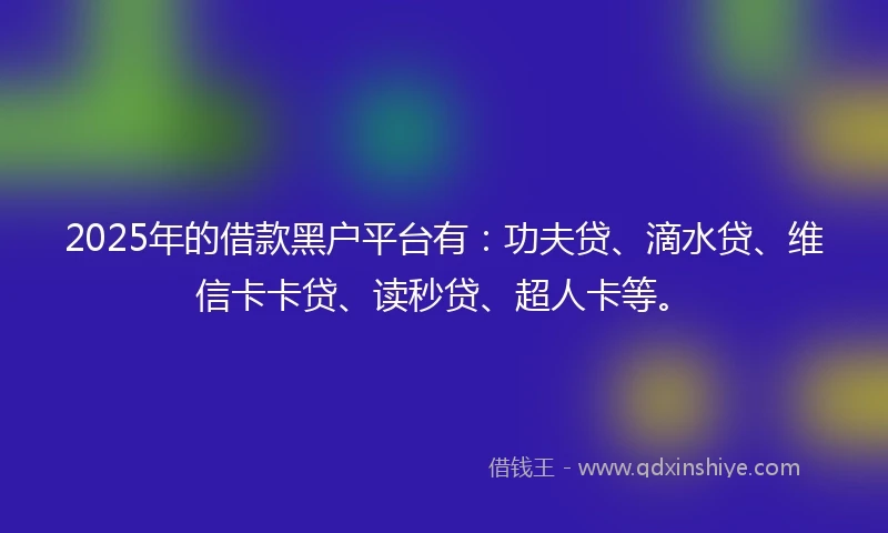 2025年的借款黑户平台有：功夫贷、滴水贷、维信卡卡贷、读秒贷、超人卡等。