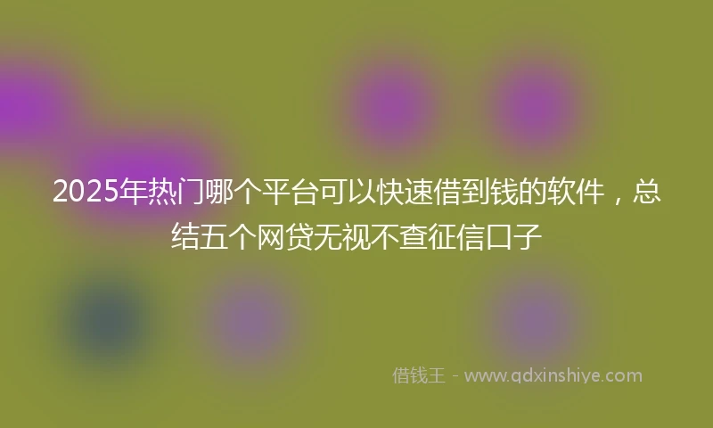 2025年热门哪个平台可以快速借到钱的软件，总结五个网贷无视不查征信口子