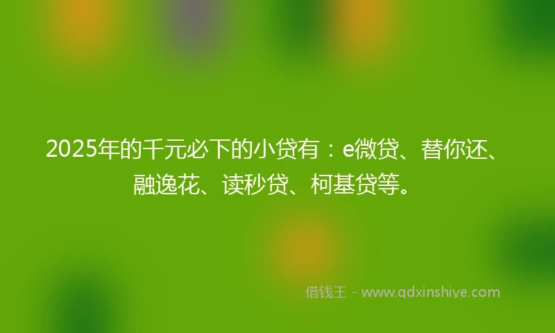 2025年的千元必下的小贷有：e微贷、替你还、融逸花、读秒贷、柯基贷等。