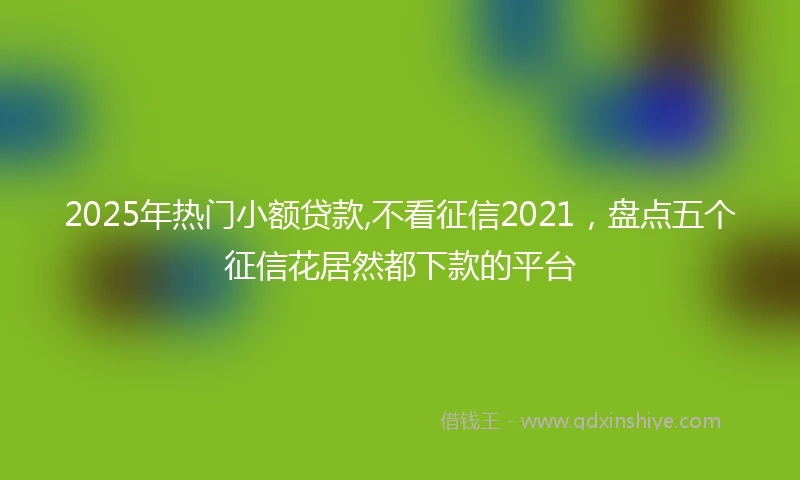 2025年热门小额贷款,不看征信2021，盘点五个征信花居然都下款的平台