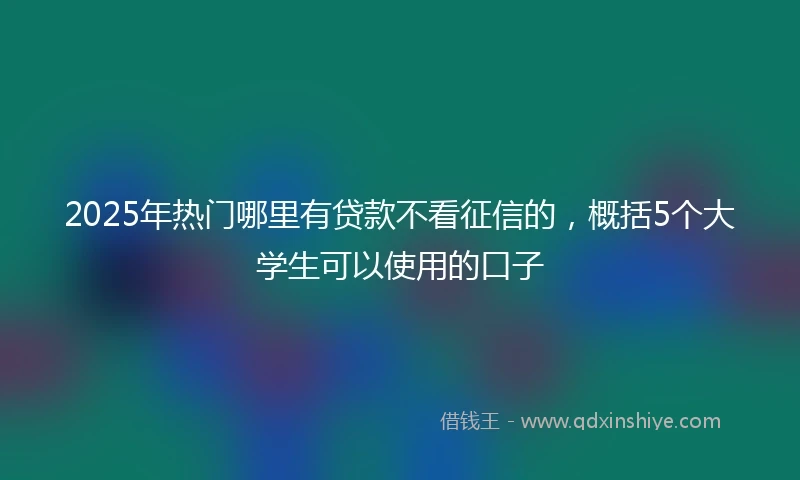 2025年热门哪里有贷款不看征信的，概括5个大学生可以使用的口子