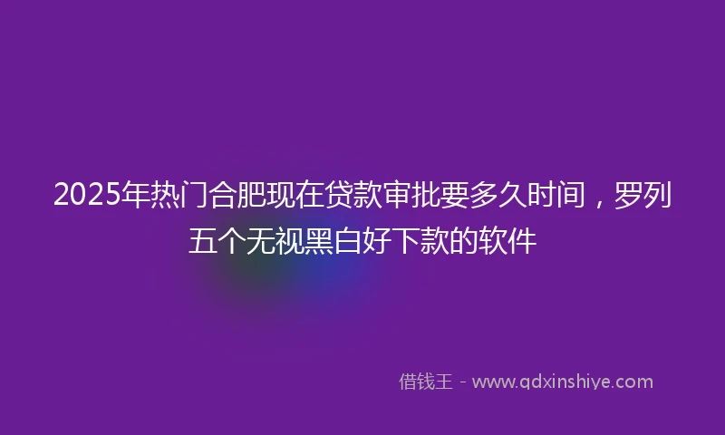 2025年热门合肥现在贷款审批要多久时间，罗列五个无视黑白好下款的软件