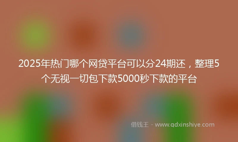 2025年热门哪个网贷平台可以分24期还，整理5个无视一切包下款5000秒下款的平台