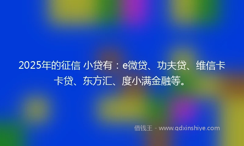 2025年的征信 小贷有：e微贷、功夫贷、维信卡卡贷、东方汇、度小满金融等。