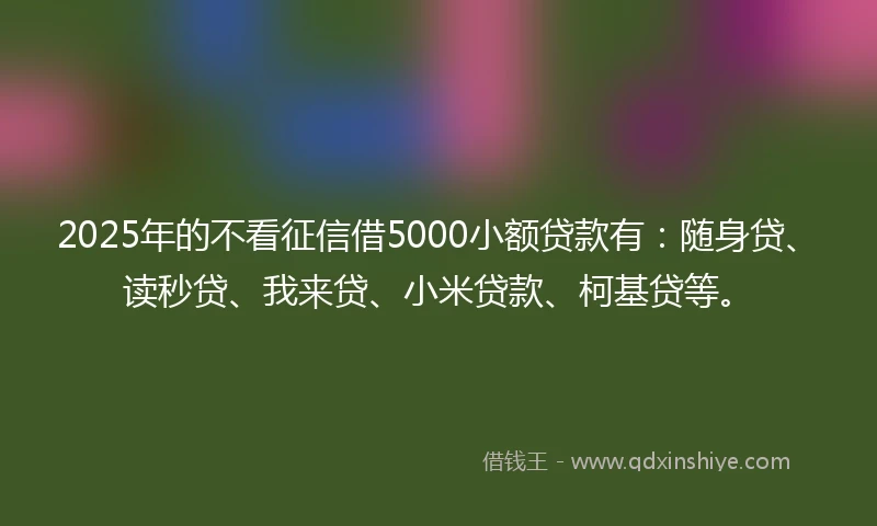 2025年的不看征信借5000小额贷款有：随身贷、读秒贷、我来贷、小米贷款、柯基贷等。