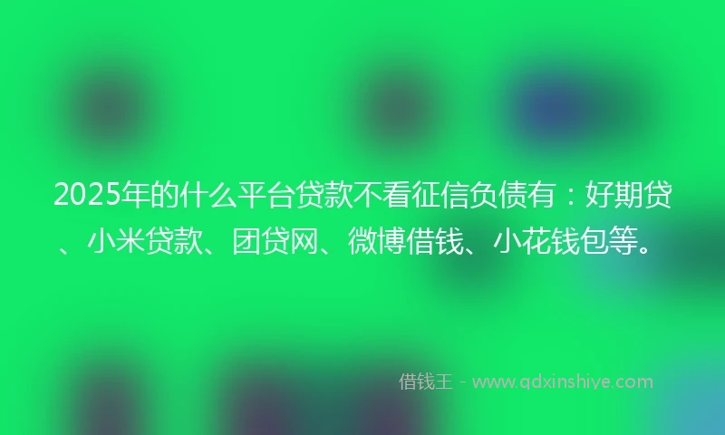 2025年的什么平台贷款不看征信负债有：好期贷、小米贷款、团贷网、微博借钱、小花钱包等。