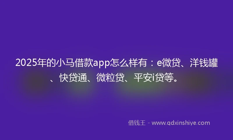 2025年的小马借款app怎么样有：e微贷、洋钱罐、快贷通、微粒贷、平安i贷等。