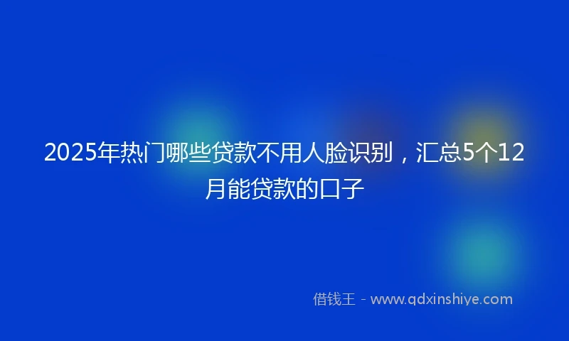 2025年热门哪些贷款不用人脸识别，汇总5个12月能贷款的口子