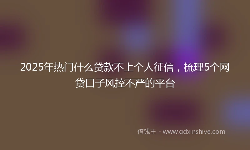 2025年热门什么贷款不上个人征信，梳理5个网贷口子风控不严的平台