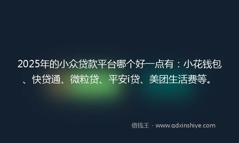 2025年的小众贷款平台哪个好一点有：小花钱包、快贷通、微粒贷、平安i贷、美团生活费等。