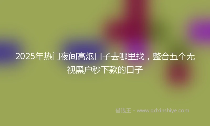 2025年热门夜间高炮口子去哪里找，整合五个无视黑户秒下款的口子