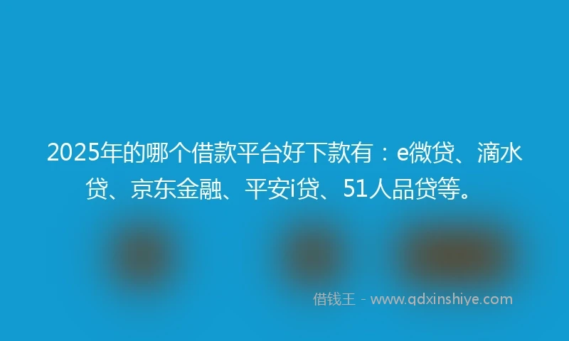 2025年的哪个借款平台好下款有：e微贷、滴水贷、京东金融、平安i贷、51人品贷等。