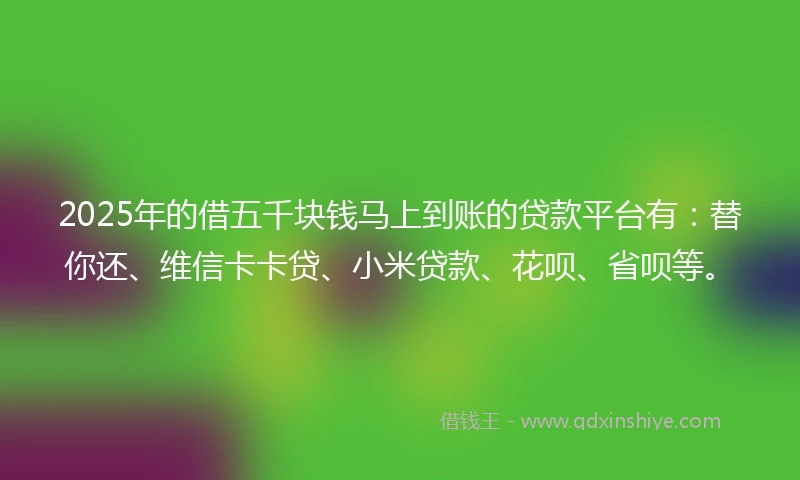 2025年的借五千块钱马上到账的贷款平台有：替你还、维信卡卡贷、小米贷款、花呗、省呗等。