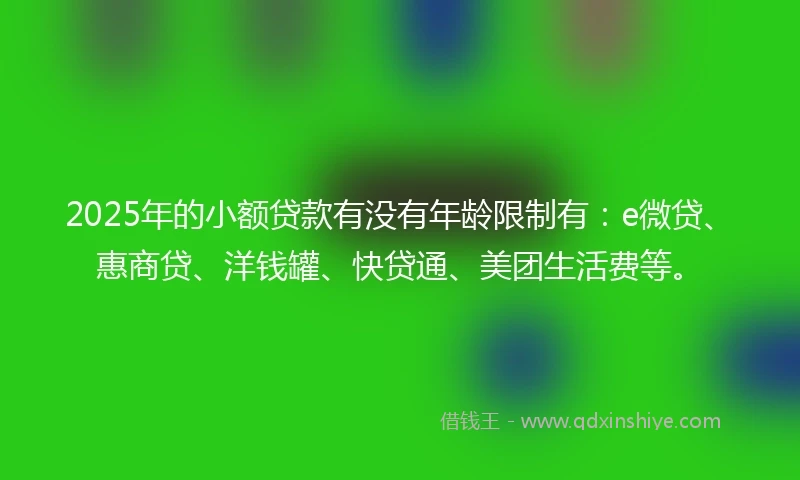 2025年的小额贷款有没有年龄限制有：e微贷、惠商贷、洋钱罐、快贷通、美团生活费等。