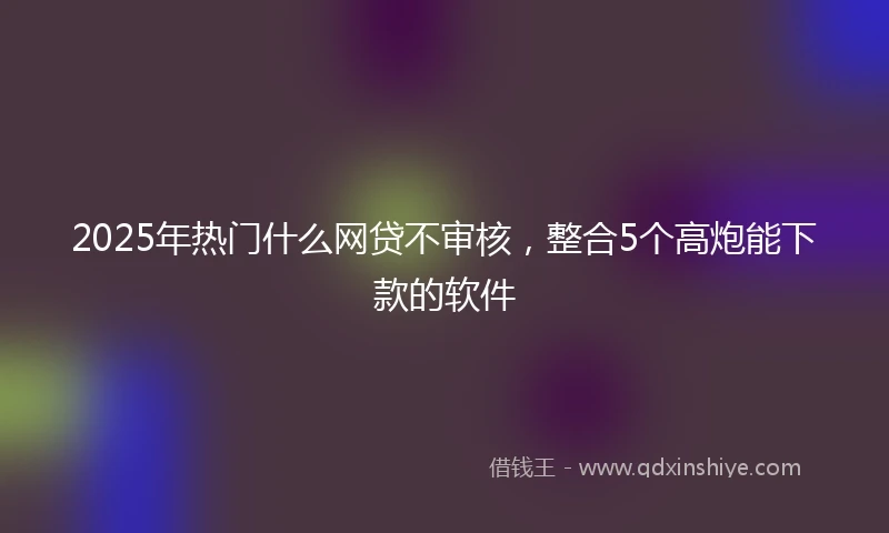 2025年热门什么网贷不审核，整合5个高炮能下款的软件