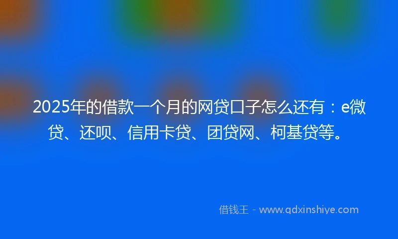 2025年的借款一个月的网贷口子怎么还有：e微贷、还呗、信用卡贷、团贷网、柯基贷等。