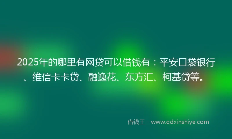 2025年的哪里有网贷可以借钱有:平安口袋银行、维信卡卡贷、融逸花、东方汇、柯基贷等。