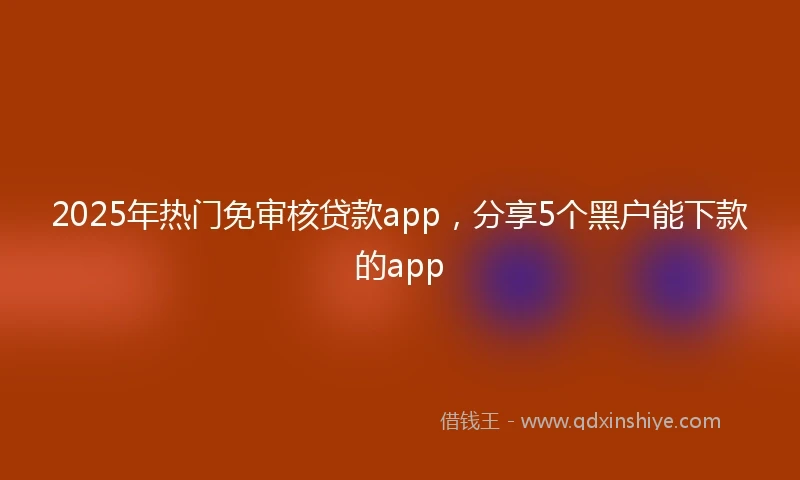 2025年热门免审核贷款app，分享5个黑户能下款的app