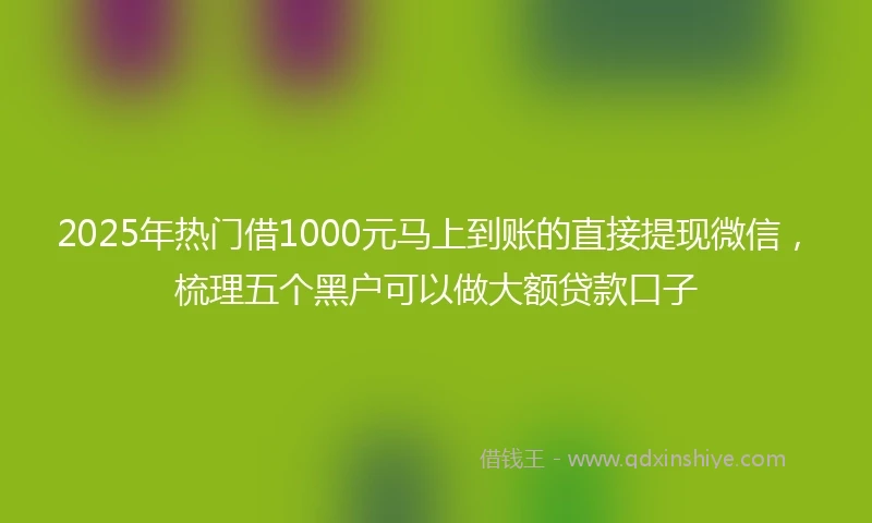 2025年热门借1000元马上到账的直接提现微信，梳理五个黑户可以做大额贷款口子