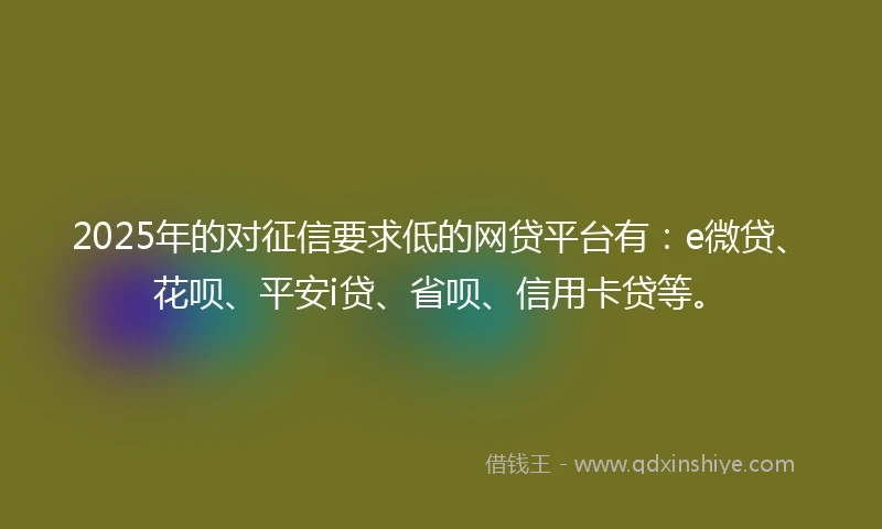 2025年的对征信要求低的网贷平台有：e微贷、花呗、平安i贷、省呗、信用卡贷等。
