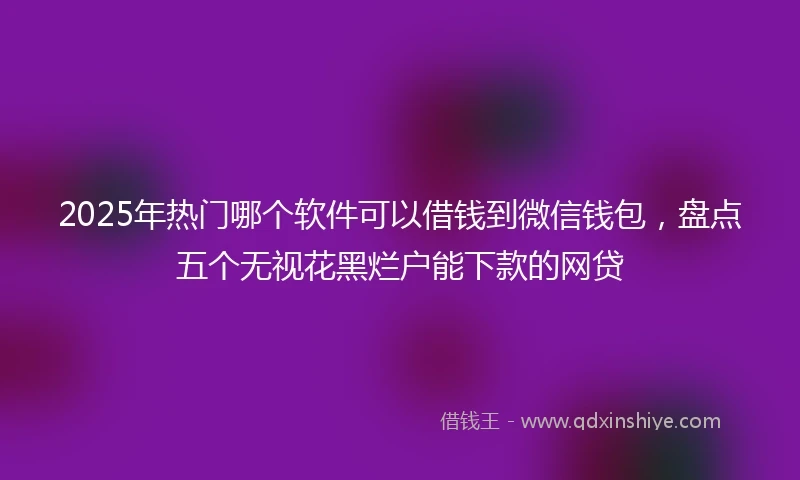 2025年热门哪个软件可以借钱到微信钱包，盘点五个无视花黑烂户能下款的网贷