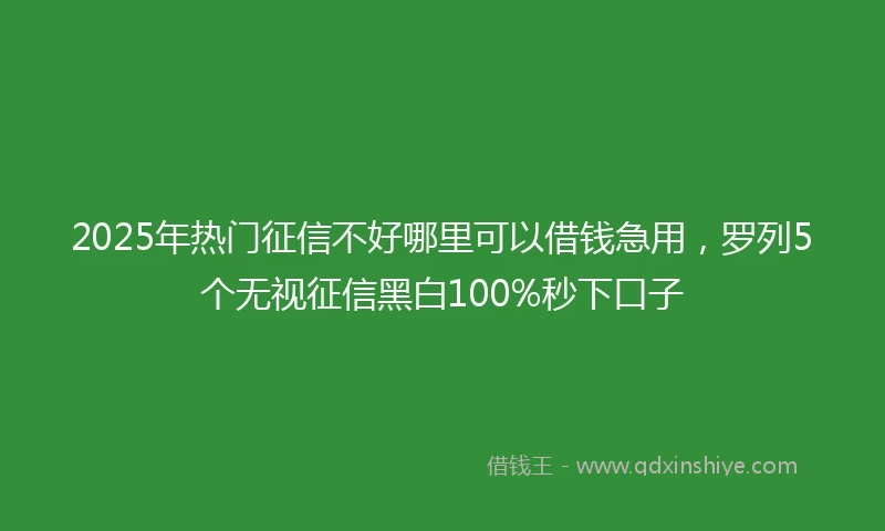 2025年热门征信不好哪里可以借钱急用，罗列5个无视征信黑白100%秒下口子