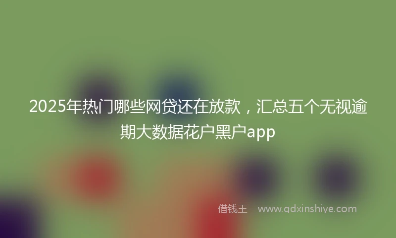 2025年热门哪些网贷还在放款，汇总五个无视逾期大数据花户黑户app