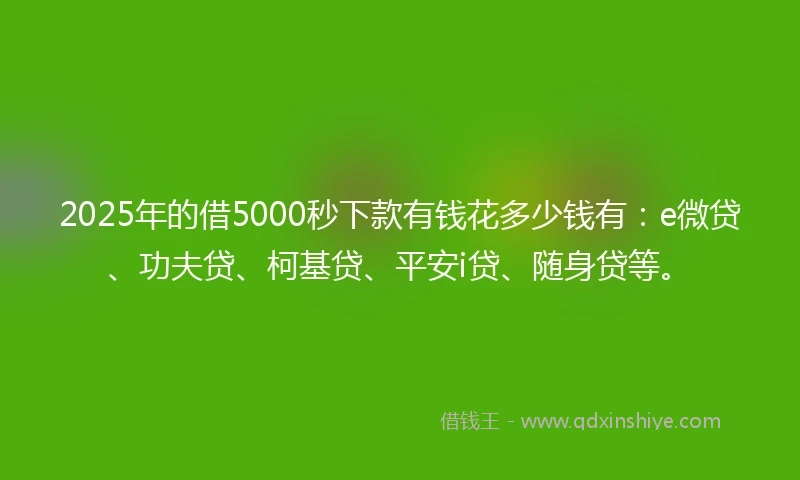 2025年的借5000秒下款有钱花多少钱有：e微贷、功夫贷、柯基贷、平安i贷、随身贷等。