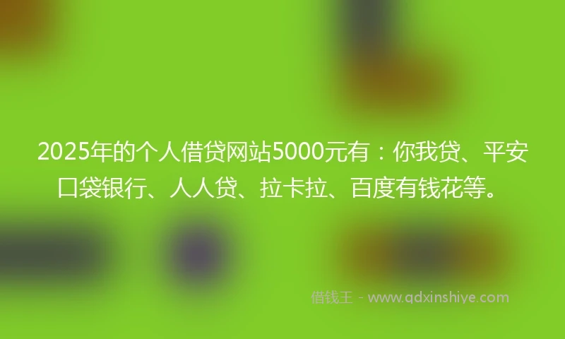 2025年的个人借贷网站5000元有：你我贷、平安口袋银行、人人贷、拉卡拉、百度有钱花等。