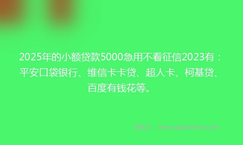2025年的小额贷款5000急用不看征信2023有：平安口袋银行、维信卡卡贷、超人卡、柯基贷、百度有钱花等。