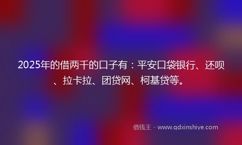 2025年的借两千的口子有：平安口袋银行、还呗、拉卡拉、团贷网、柯基贷等。