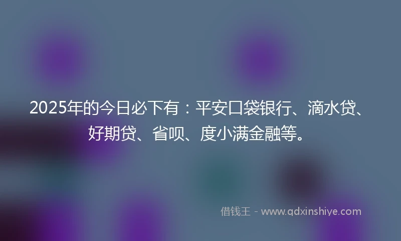 2025年的今日必下有：平安口袋银行、滴水贷、好期贷、省呗、度小满金融等。