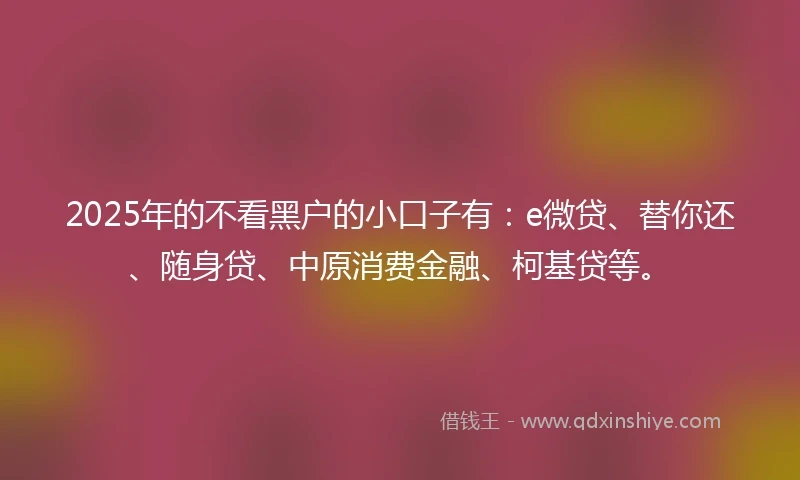2025年的不看黑户的小口子有：e微贷、替你还、随身贷、中原消费金融、柯基贷等。