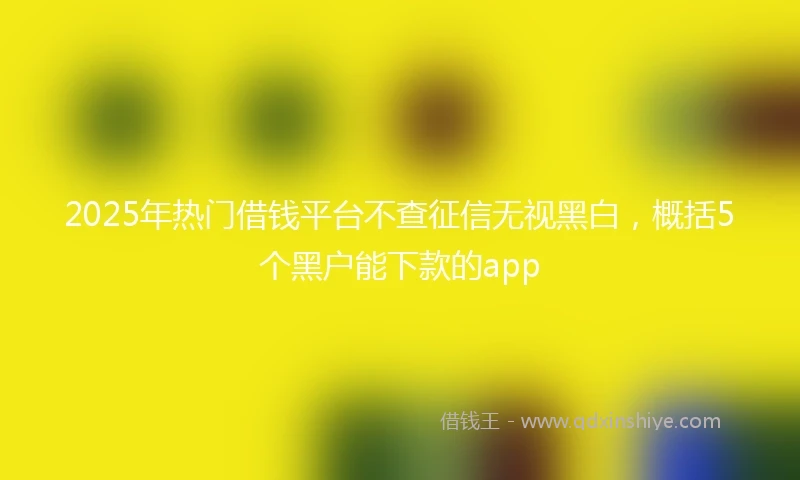 2025年热门借钱平台不查征信无视黑白，概括5个黑户能下款的app