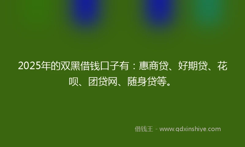 2025年的双黑借钱口子有：惠商贷、好期贷、花呗、团贷网、随身贷等。