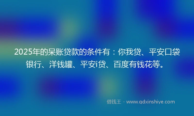 2025年的呆账贷款的条件有：你我贷、平安口袋银行、洋钱罐、平安i贷、百度有钱花等。
