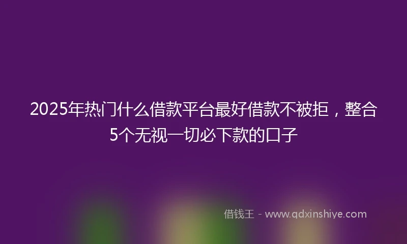 2025年热门什么借款平台最好借款不被拒，整合5个无视一切必下款的口子