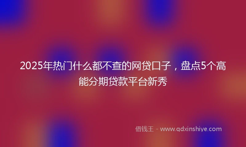 2025年热门什么都不查的网贷口子，盘点5个高能分期贷款平台新秀
