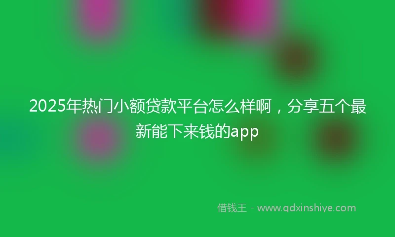 2025年热门小额贷款平台怎么样啊，分享五个最新能下来钱的app