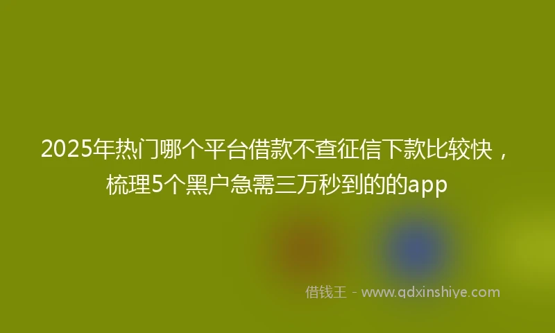 2025年热门哪个平台借款不查征信下款比较快，梳理5个黑户急需三万秒到的的app