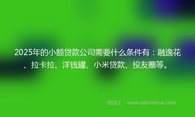 2025年的小额贷款公司需要什么条件有：融逸花、拉卡拉、洋钱罐、小米贷款、投友圈等。
