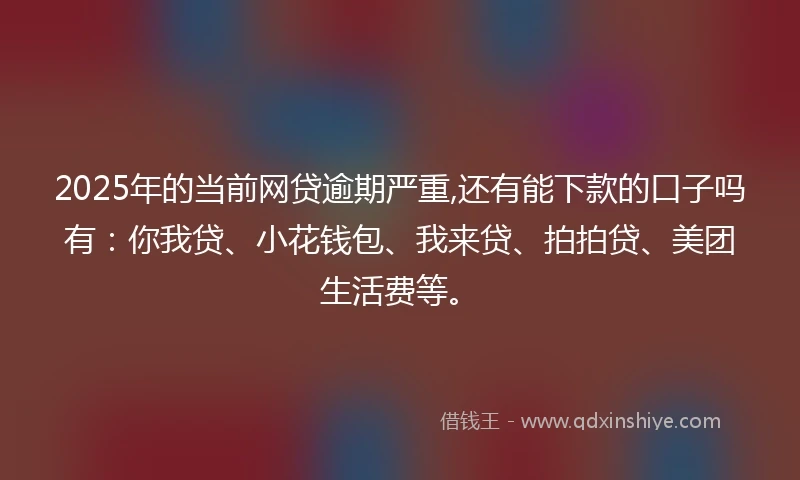 2025年的当前网贷逾期严重,还有能下款的口子吗有：你我贷、小花钱包、我来贷、拍拍贷、美团生活费等。