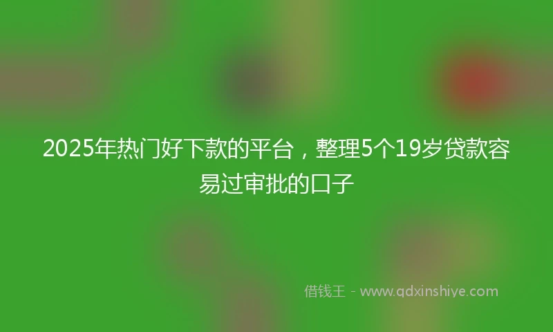 2025年热门好下款的平台，整理5个19岁贷款容易过审批的口子