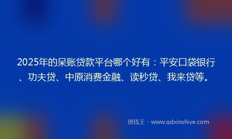 2025年的呆账贷款平台哪个好有:平安口袋银行、功夫贷、中原消费金融、读秒贷、我来贷等。