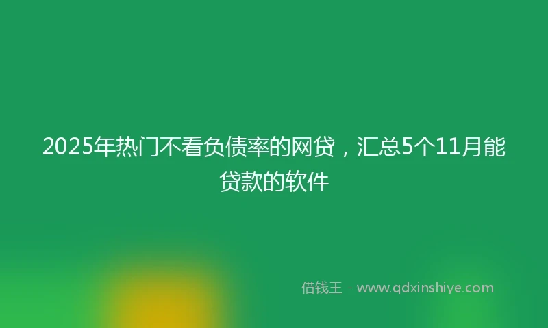 2025年热门不看负债率的网贷，汇总5个11月能贷款的软件