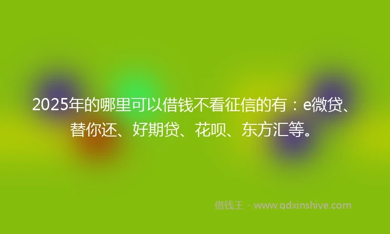 2025年的哪里可以借钱不看征信的有：e微贷、替你还、好期贷、花呗、东方汇等。
