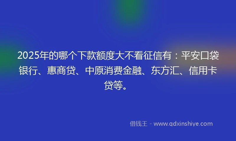 2025年的哪个下款额度大不看征信有：平安口袋银行、惠商贷、中原消费金融、东方汇、信用卡贷等。