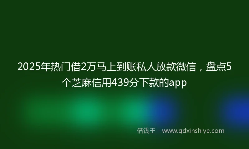 2025年热门借2万马上到账私人放款微信，盘点5个芝麻信用439分下款的app