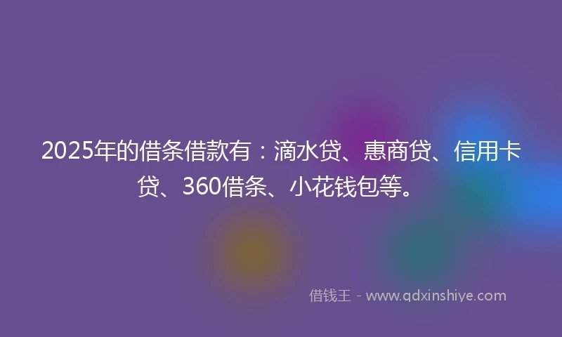 2025年的借条借款有：滴水贷、惠商贷、信用卡贷、360借条、小花钱包等。