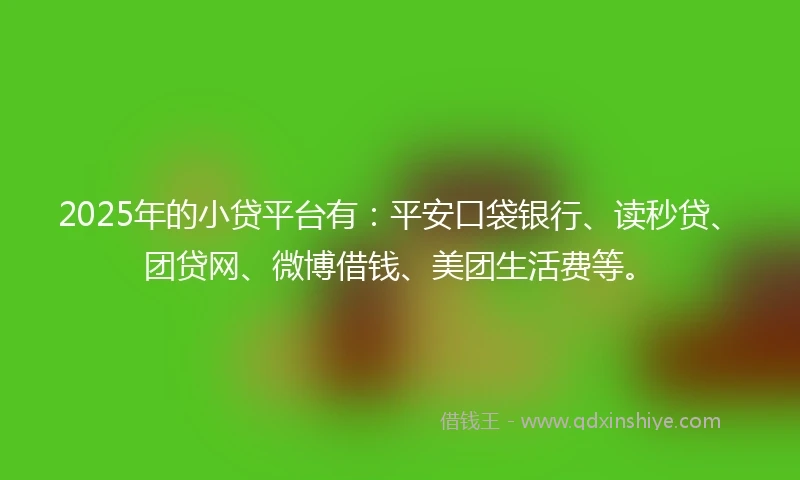 2025年的小贷平台有：平安口袋银行、读秒贷、团贷网、微博借钱、美团生活费等。